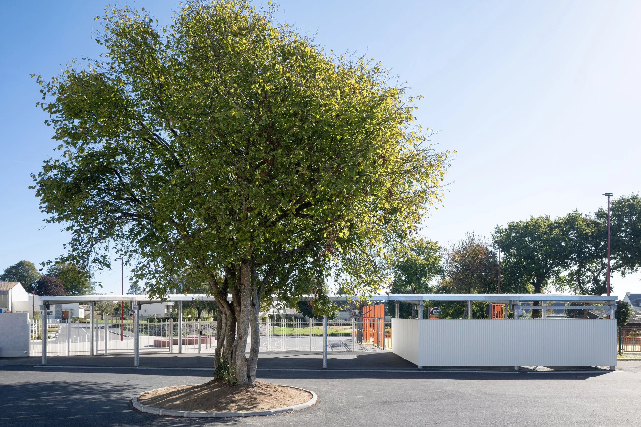 VIOLI_Entree-College-9563 copie.jpg