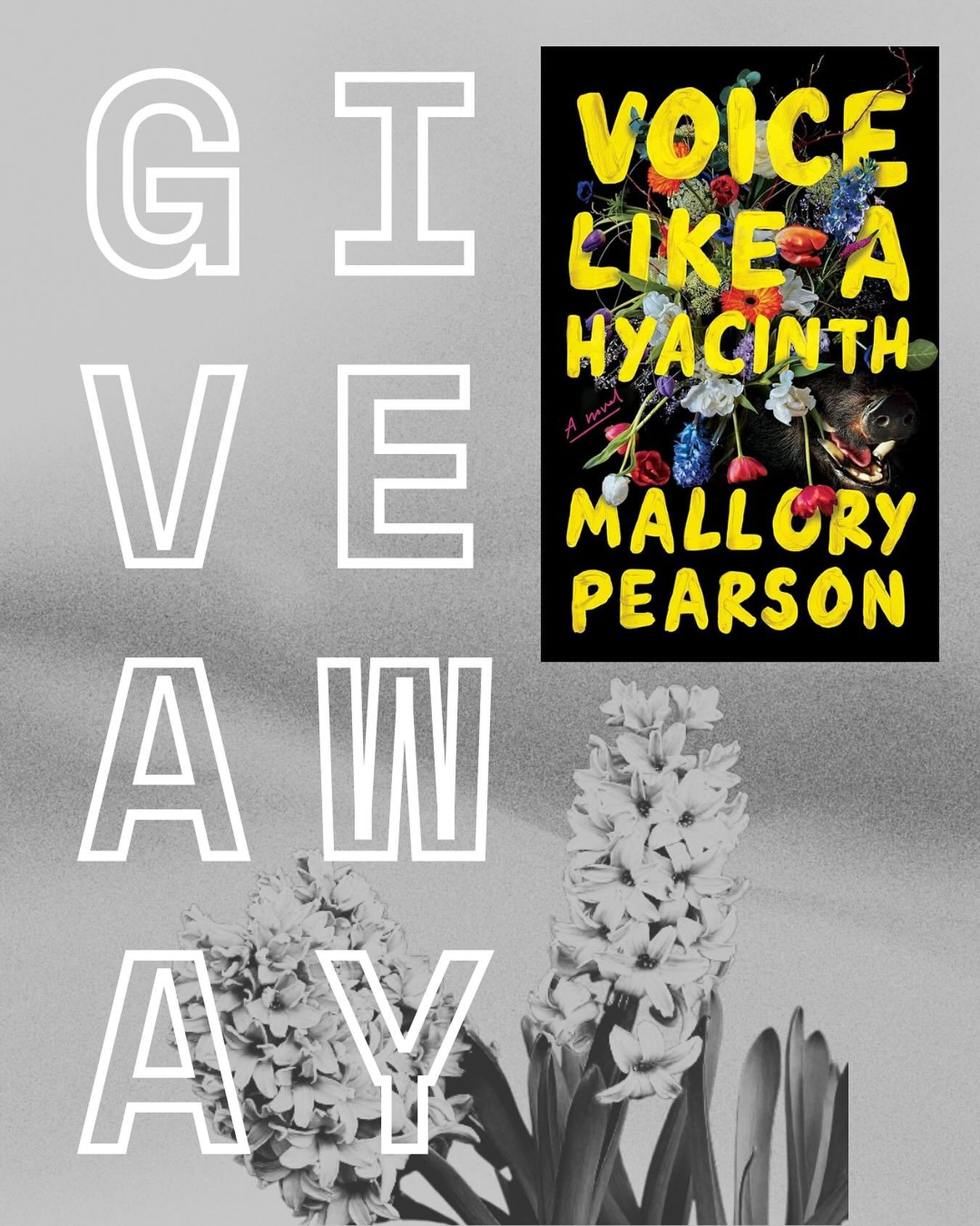 It&rsquo;s a week of great news here at Greenburger: starting tomorrow, you can enter a @goodreads giveaway to win a copy of @lesbrarycard&rsquo;s latest, VOICE LIKE A HYACINTH! The giveaway will be live the entire month of February, so make sure to 
