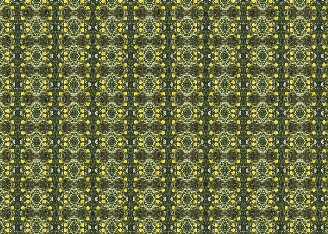 Buttercup.jpg