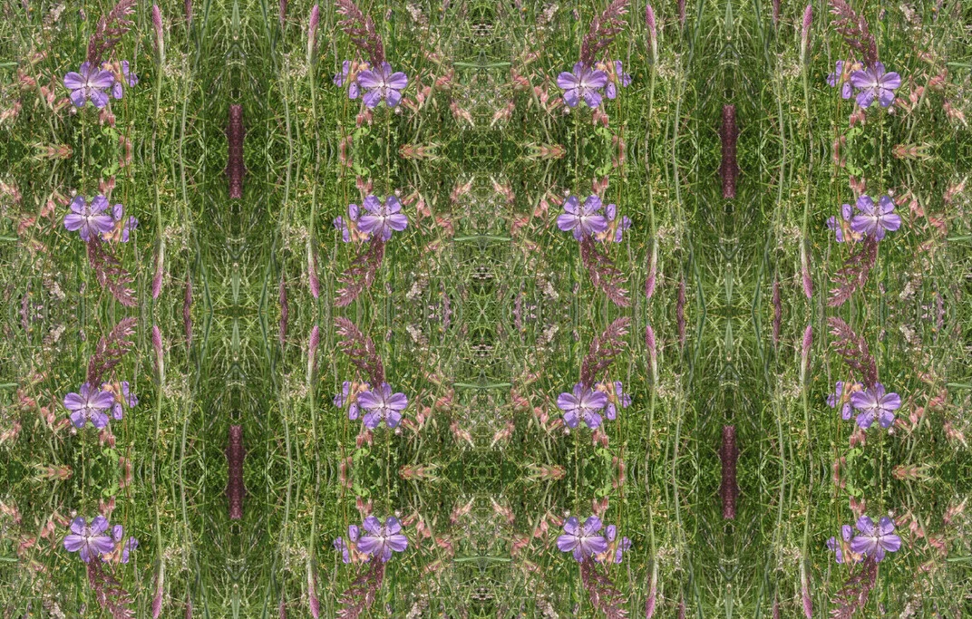 wildflower fabric.jpg