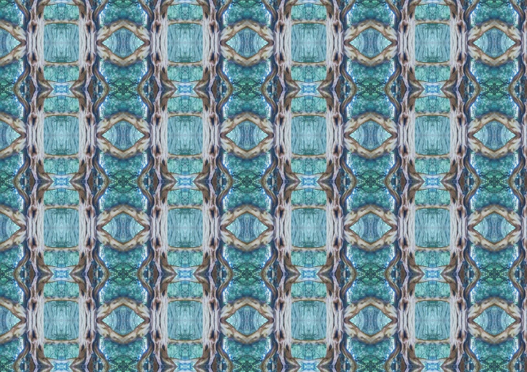 lady of visions eco fabric.jpg