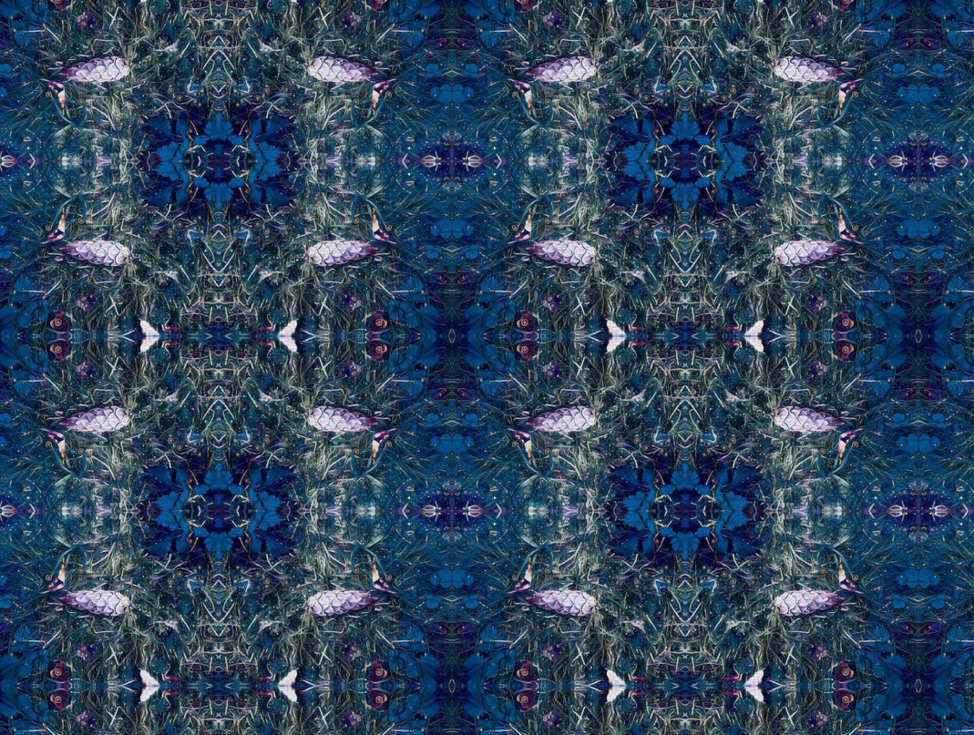 midnight pine.jpg
