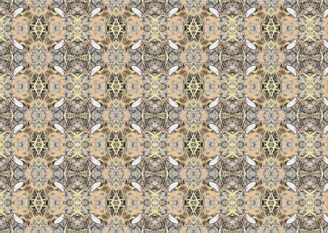 feather and earth fabric.jpg
