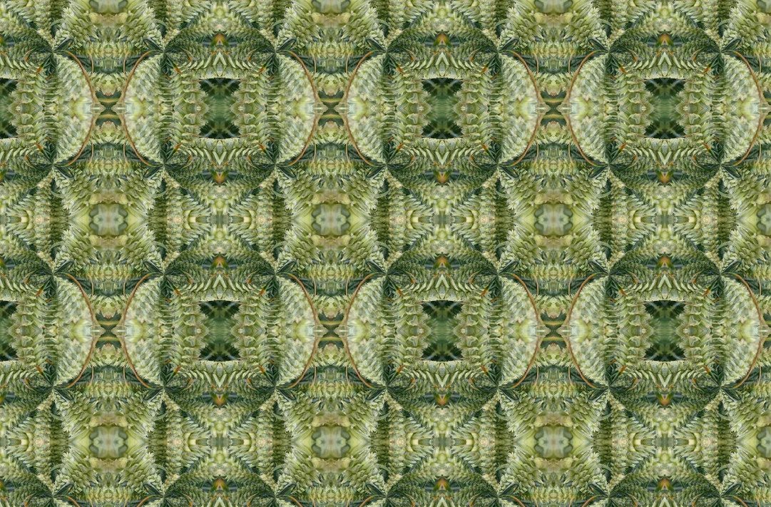 harvest fabric.jpg