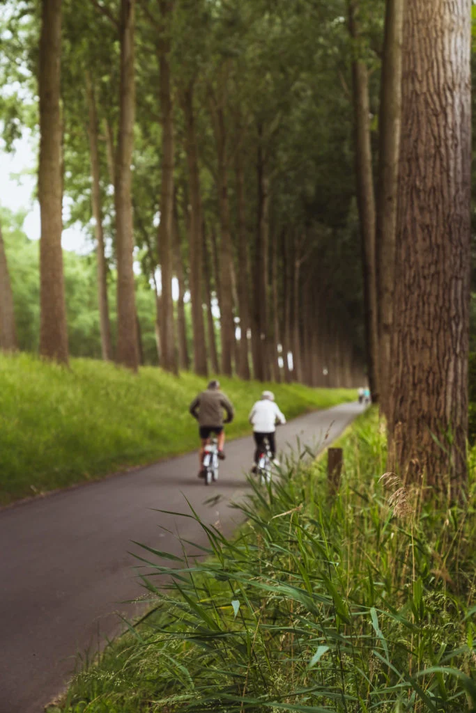 Netherlands-woodland-cycleway-683x1024.jpg