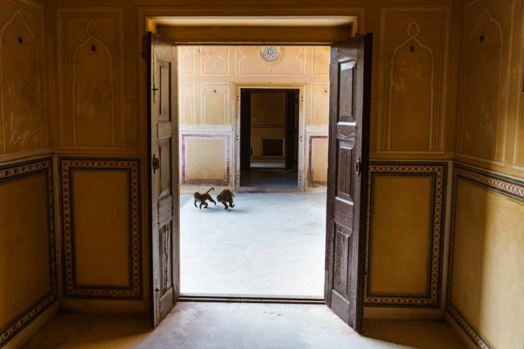 Copy of 20181211-India-394-1024x683.jpg