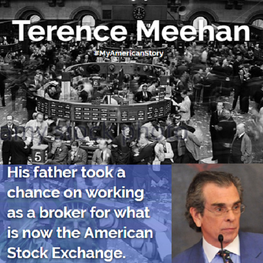 Terence Meehan  My American Story