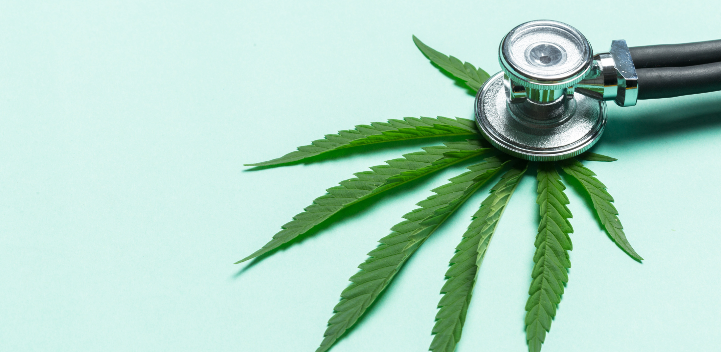 Marijuana Legalization with Dr. Mitch Rosenthal and Steve Hawkins