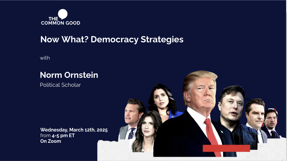 Now What? Democracy Strategies