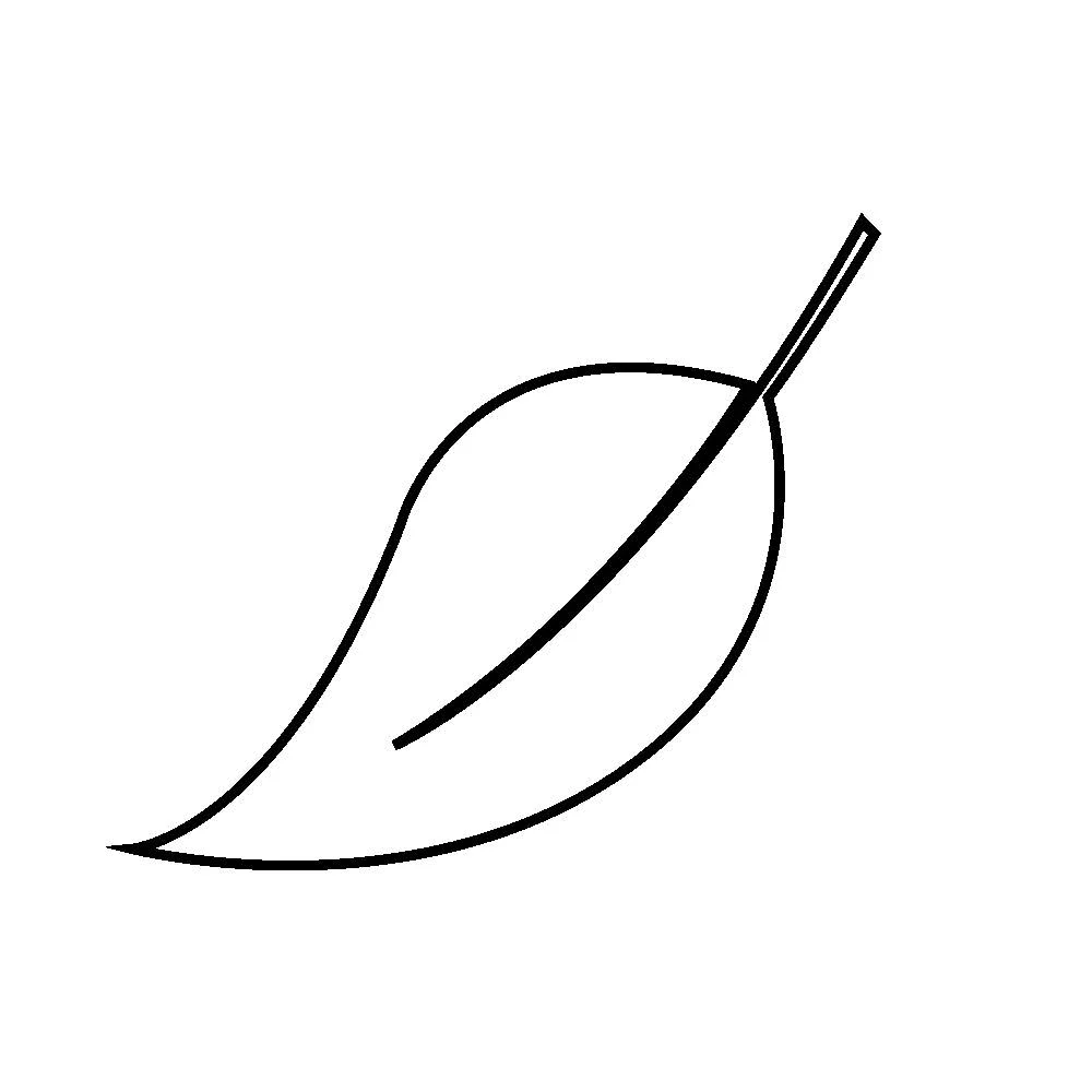 sustianableleaf.jpg