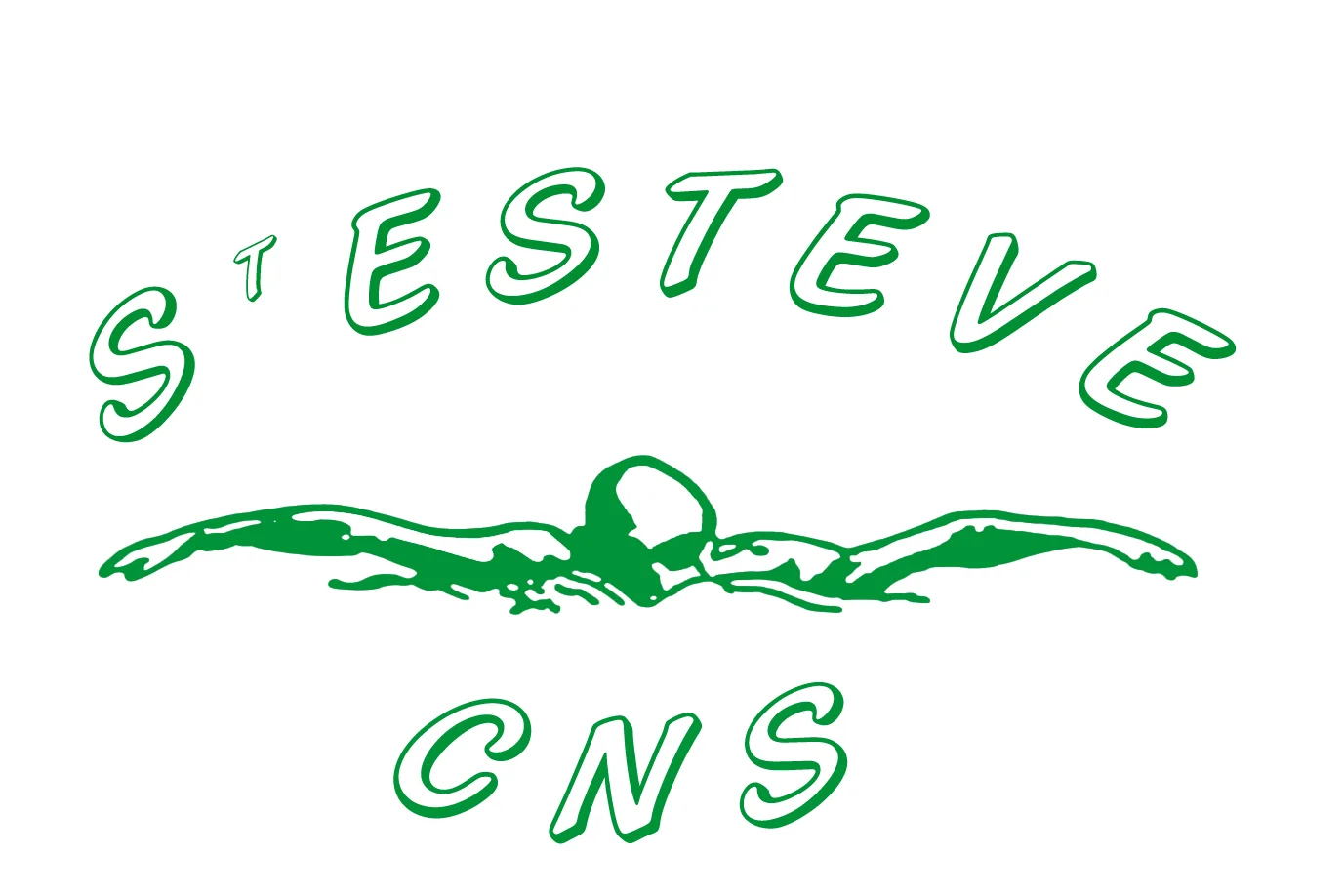 LOGO_CNS_2012.jpg