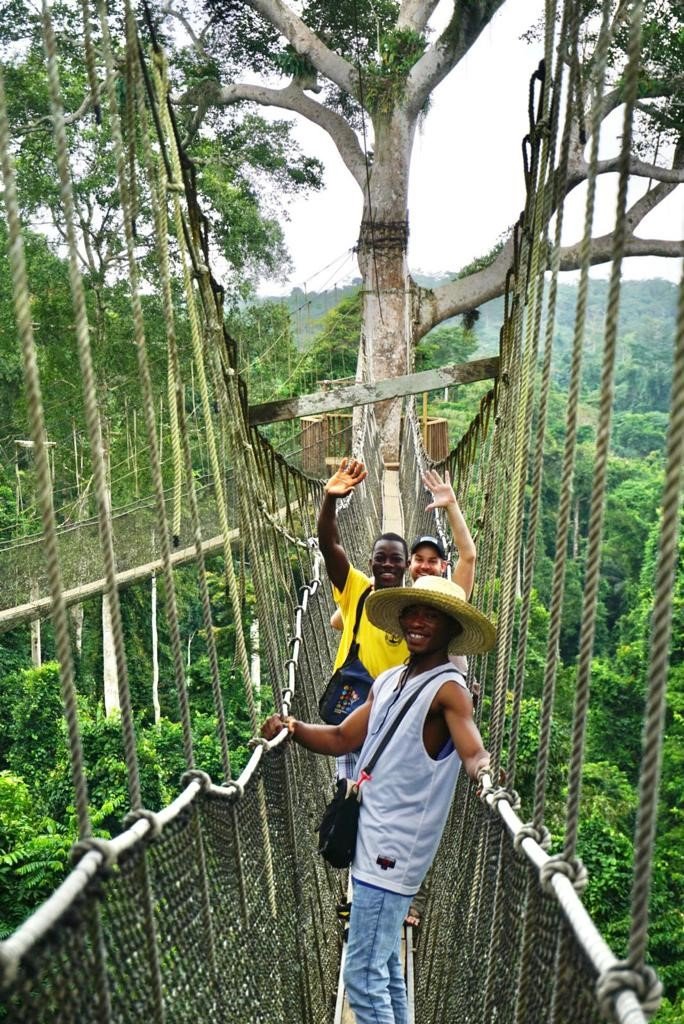 pix canopy walk.jpg