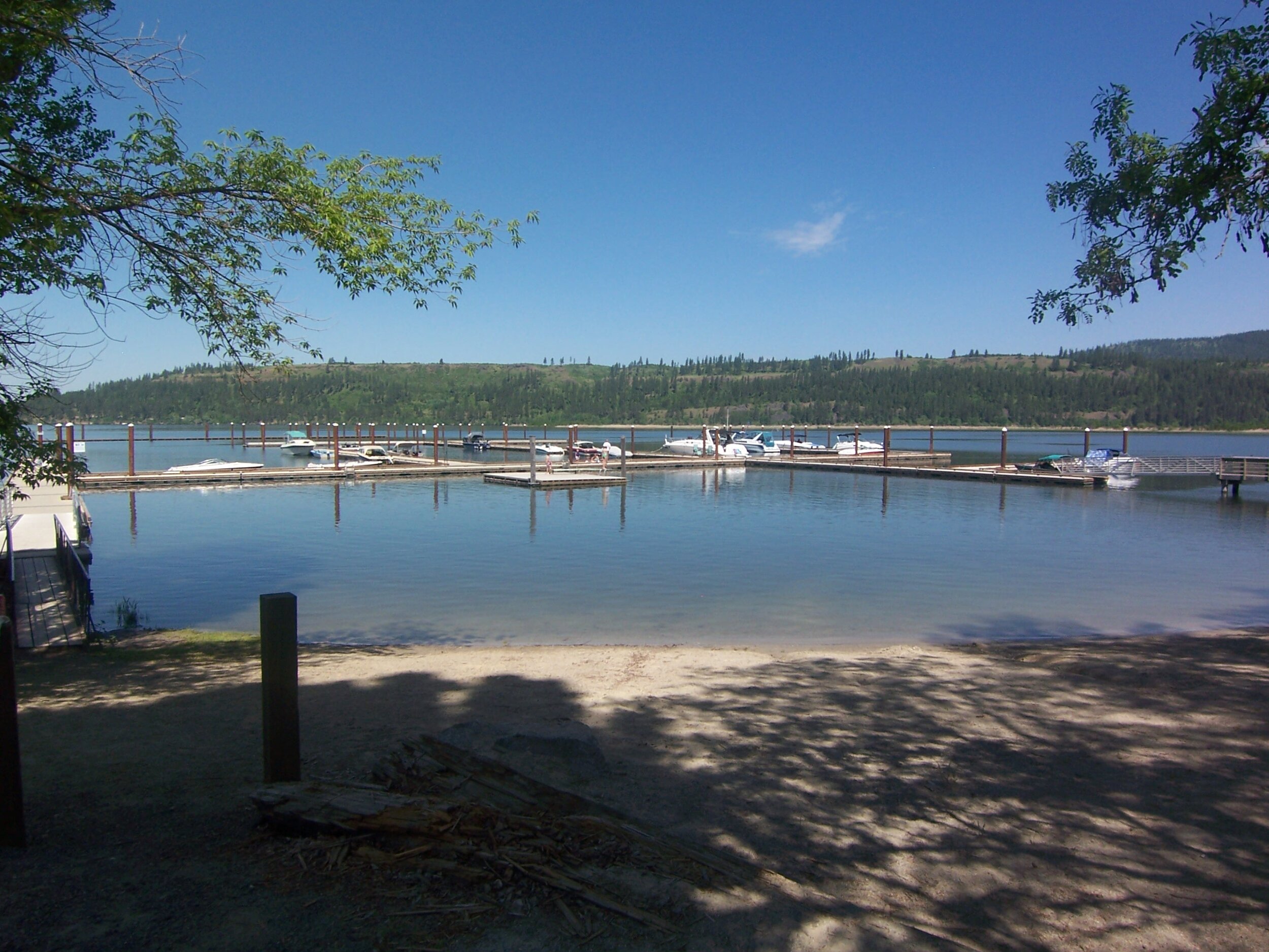 swimbeach.jpg