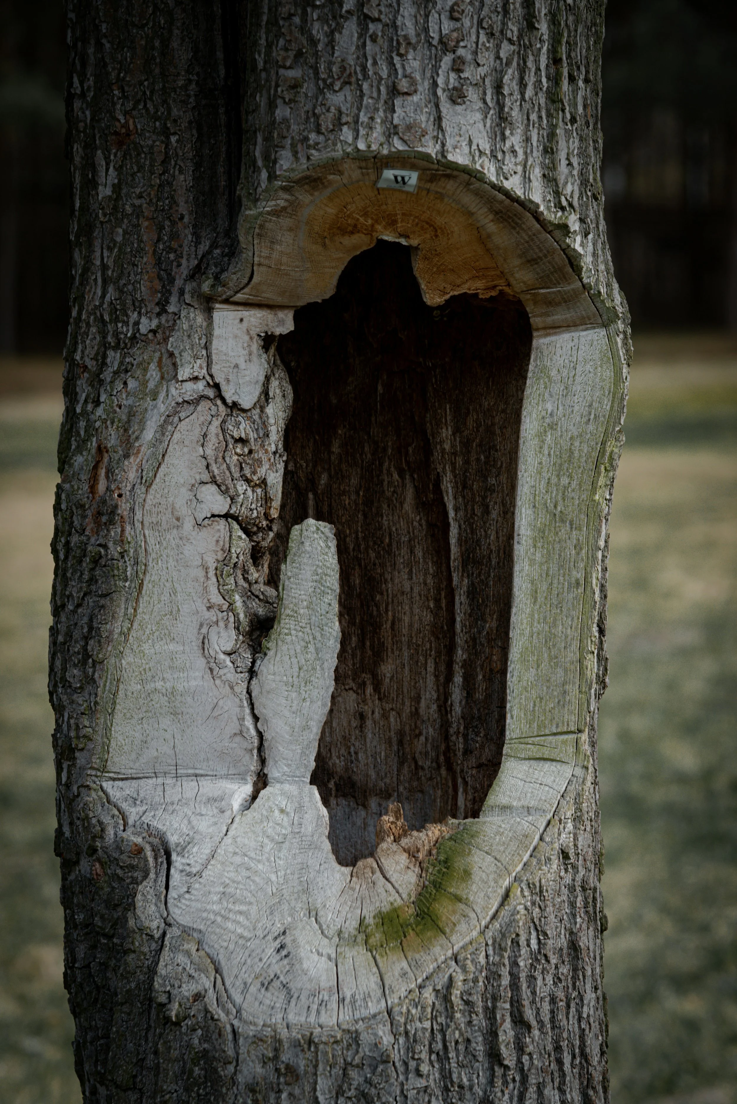 Why Self-Care Can Sometimes Feel Hollow