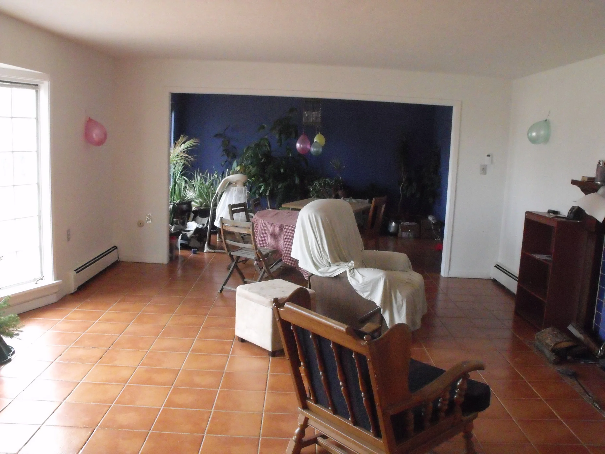 DSCF2382.JPG