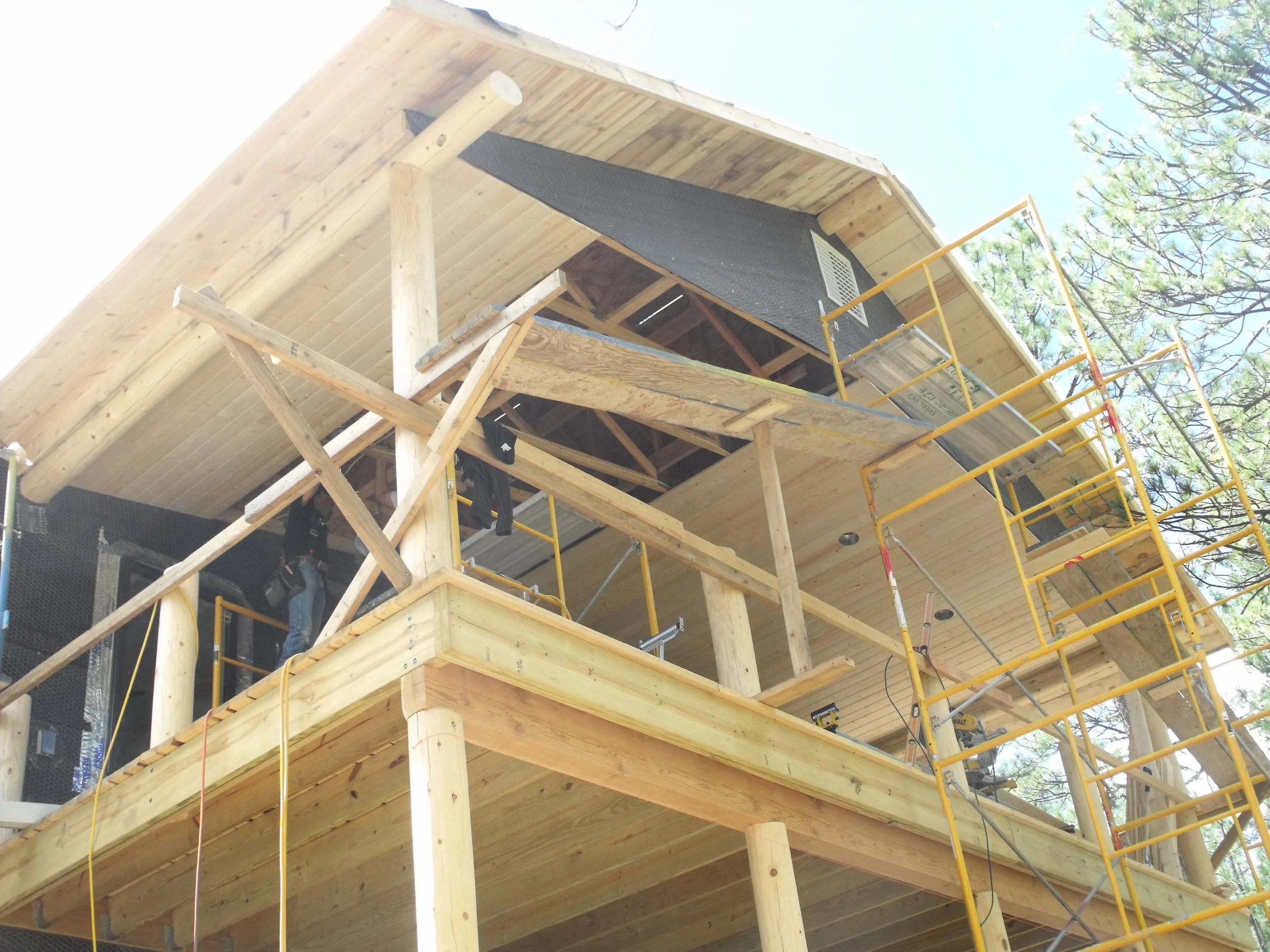 whites99991 - Copy.JPG