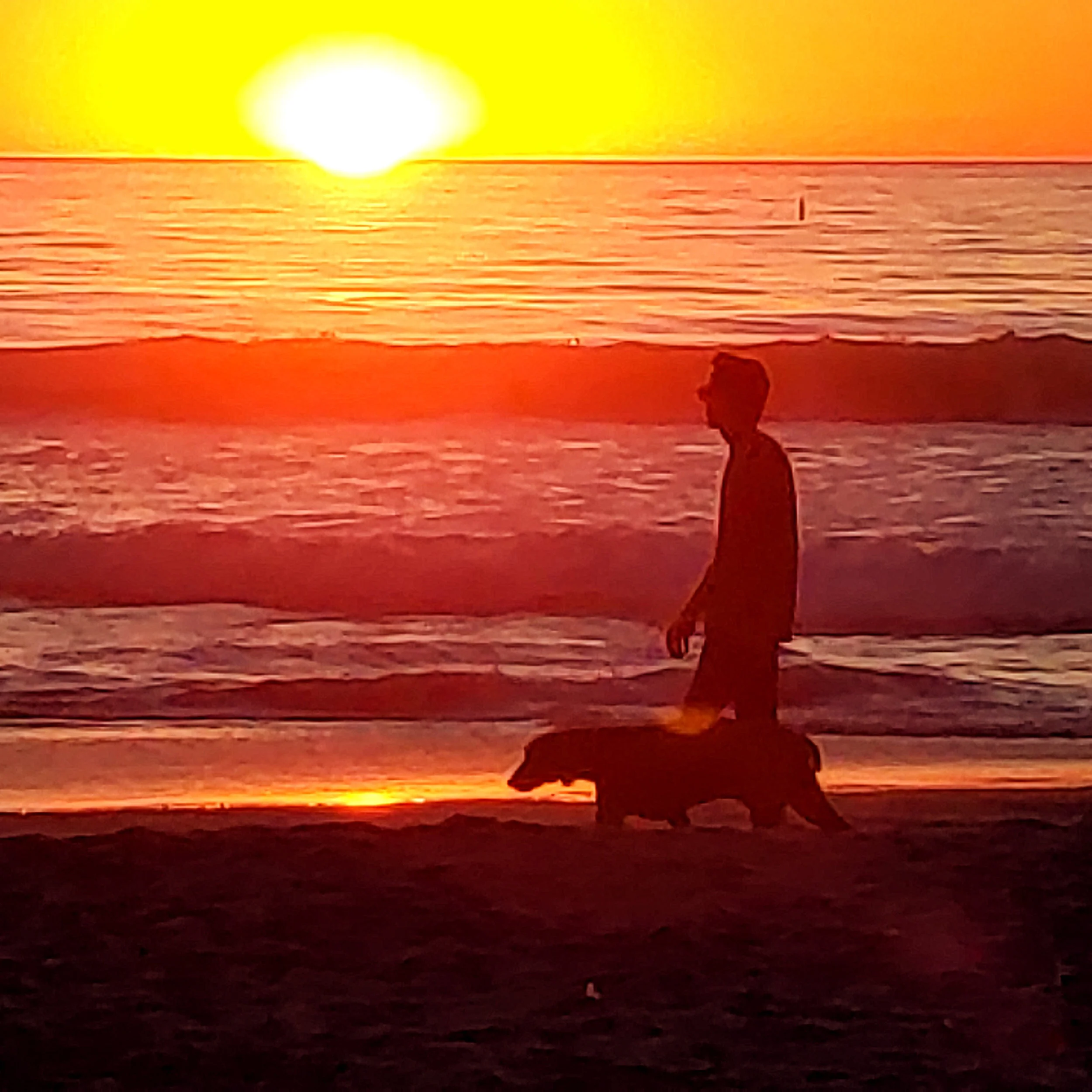 20181019_180945_edited.jpg