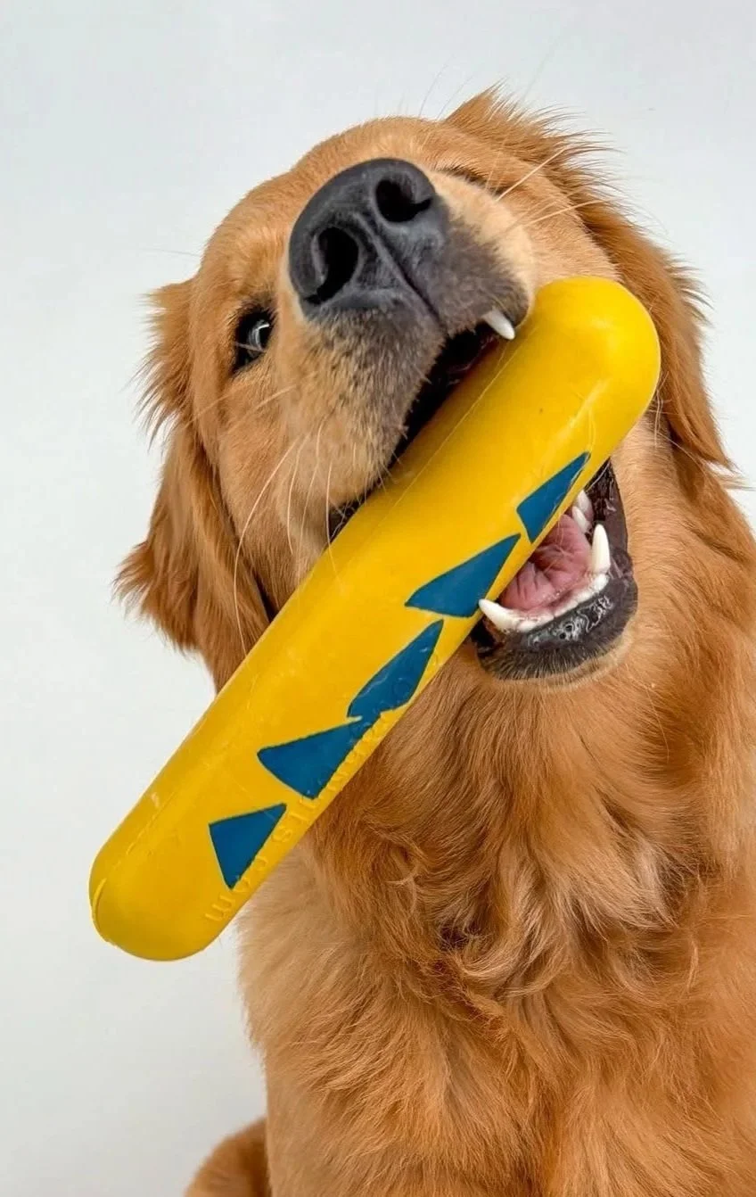 Water+Stick+Large+Yellow.jpg