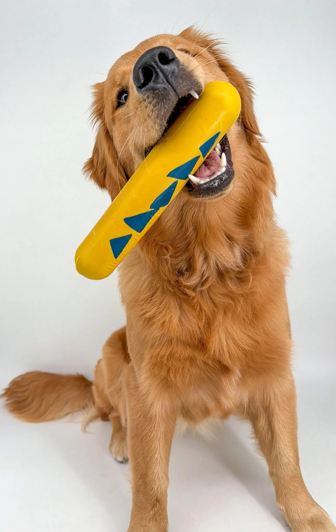 Ultimate Chew-Proof Large Water Stick in Yellow!