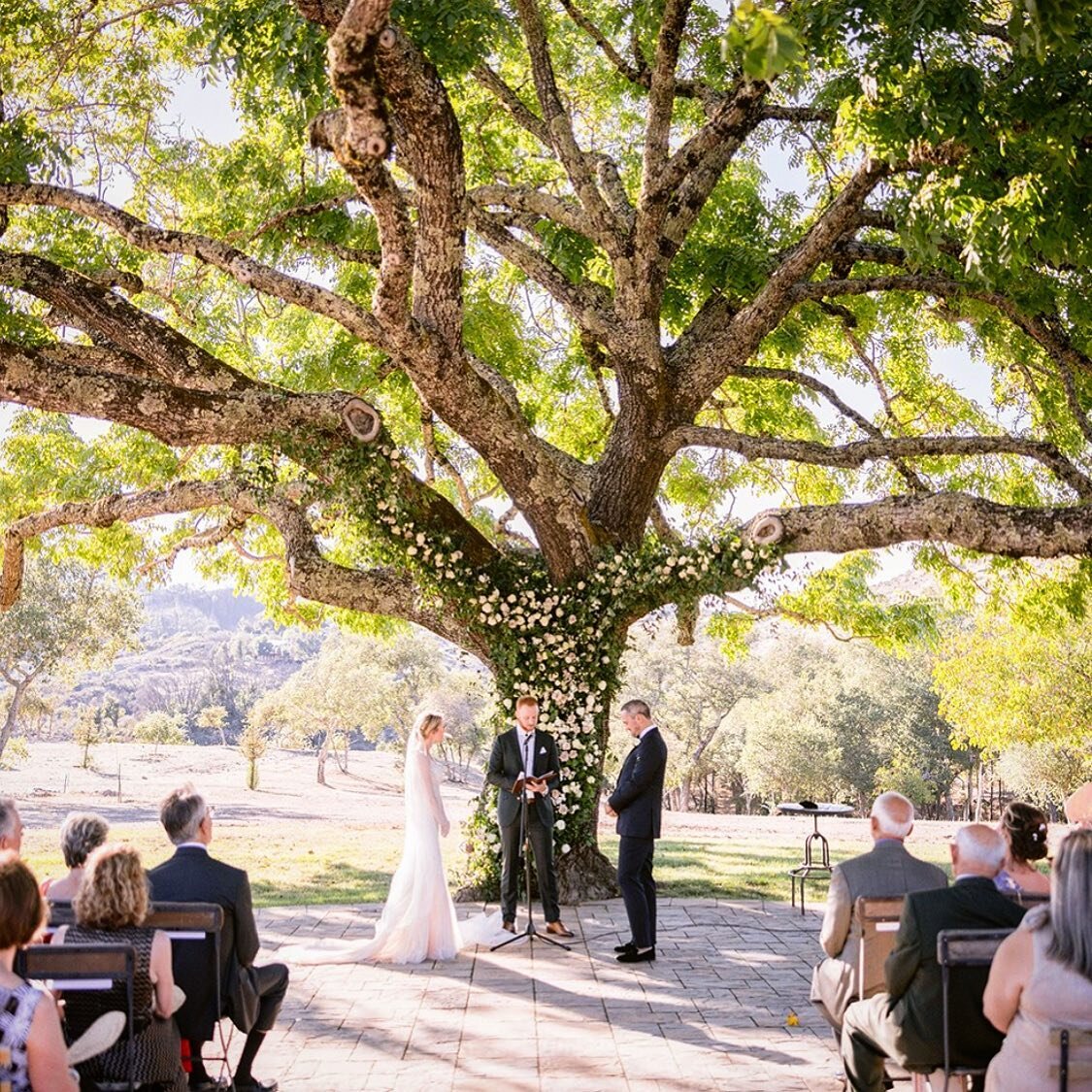 Always a sight to behold!! Our couple taking their vows under the centuries-old grandfather black walnut tree. 

This really shows great symbolism as our tree reflects strength and resilience that weathers all adversity. Just like the love shared by 