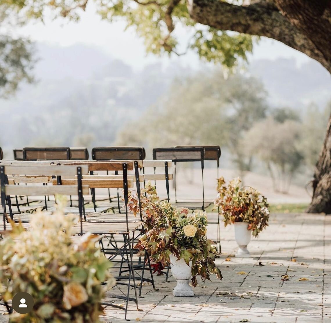 How can these photos be so ethereal looking? Vibe is so light and delicate. Our grandpa tree must be blushing 💜💜💜 

Thank you @thedelauras 🙏🏼

#weddingdestination #triplesranchnapa #wedding #calistoga #napa #wedding #california #love #life #vaca