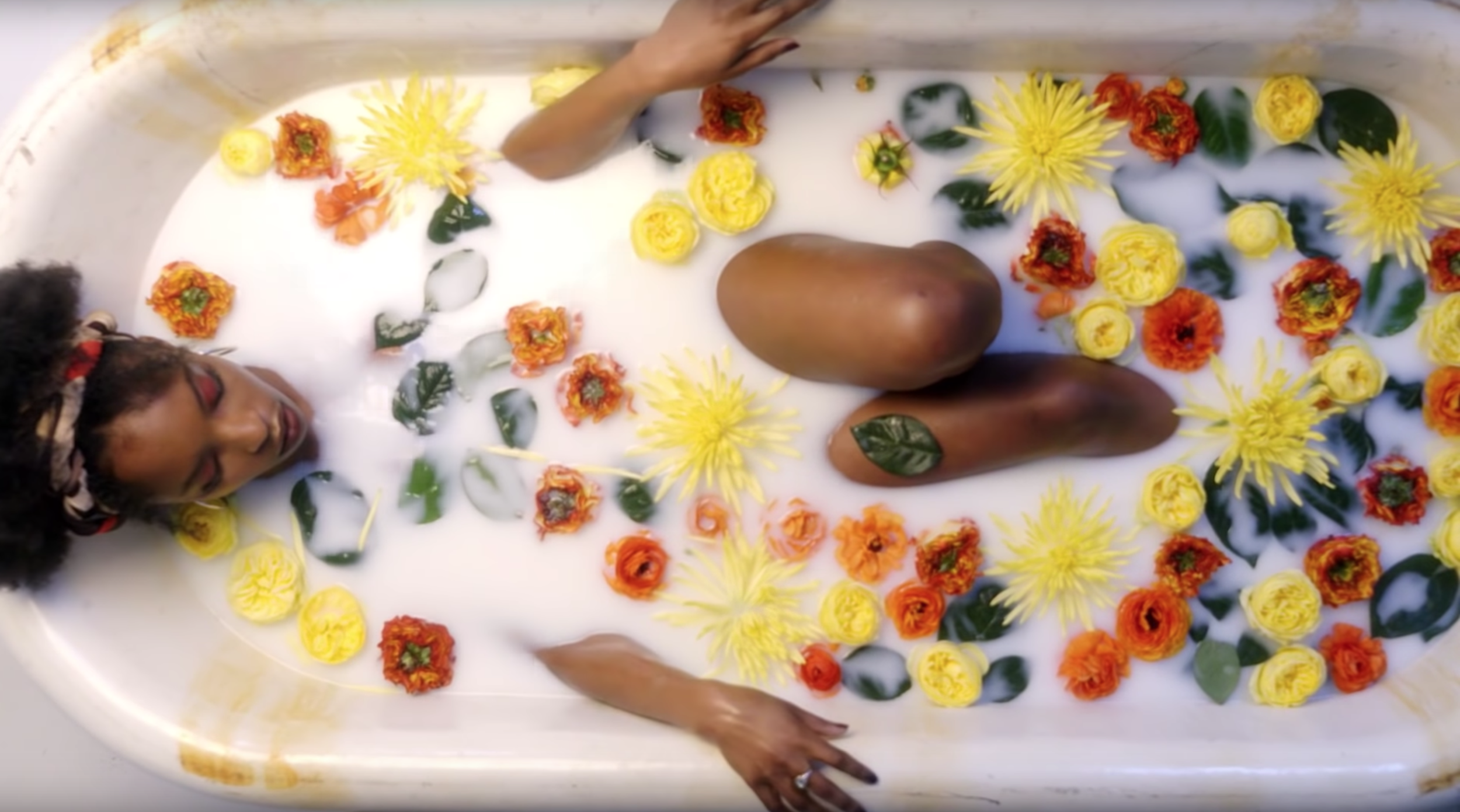 Screen Shot 2019-10-14 at 1.21.38 PM.png