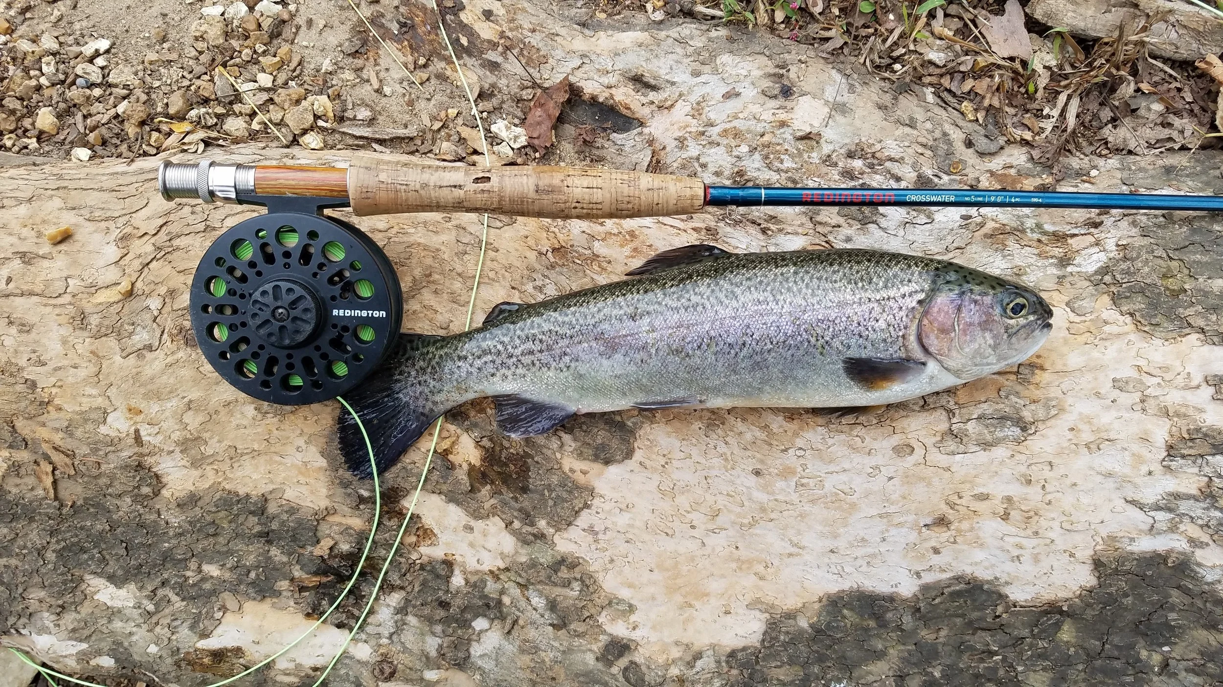 20171028_120257.jpg