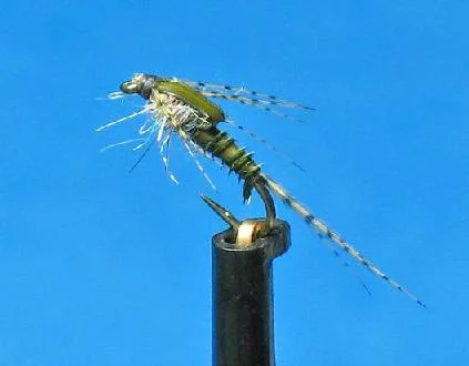 twobiotbwo.jpg