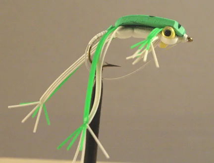 frog1.jpg