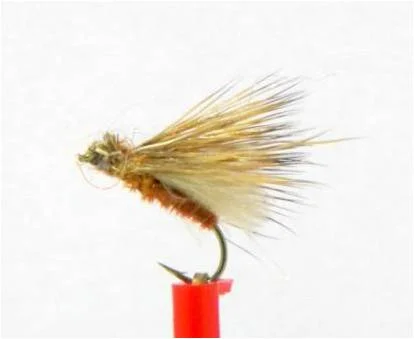 rustycaddis.jpg