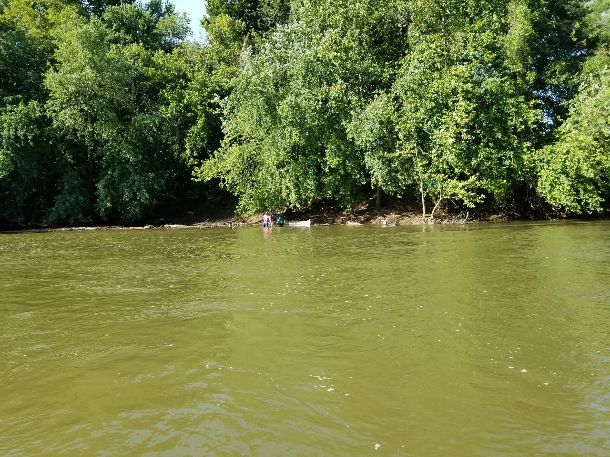 20190824_091750.jpg