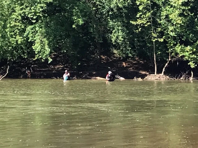 Attach29254_20190824_102738.jpg