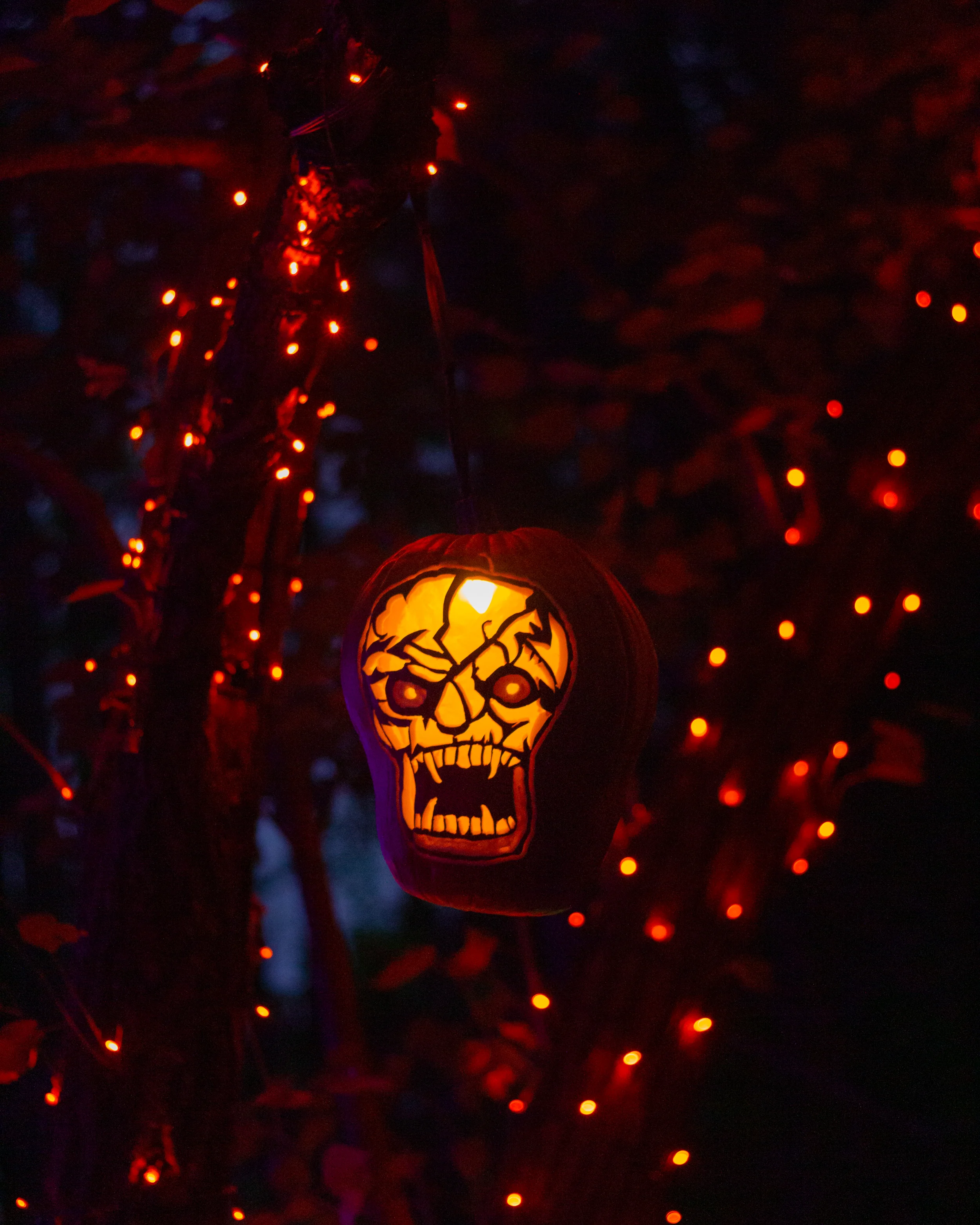 Jack O Lantern in Tree.jpg