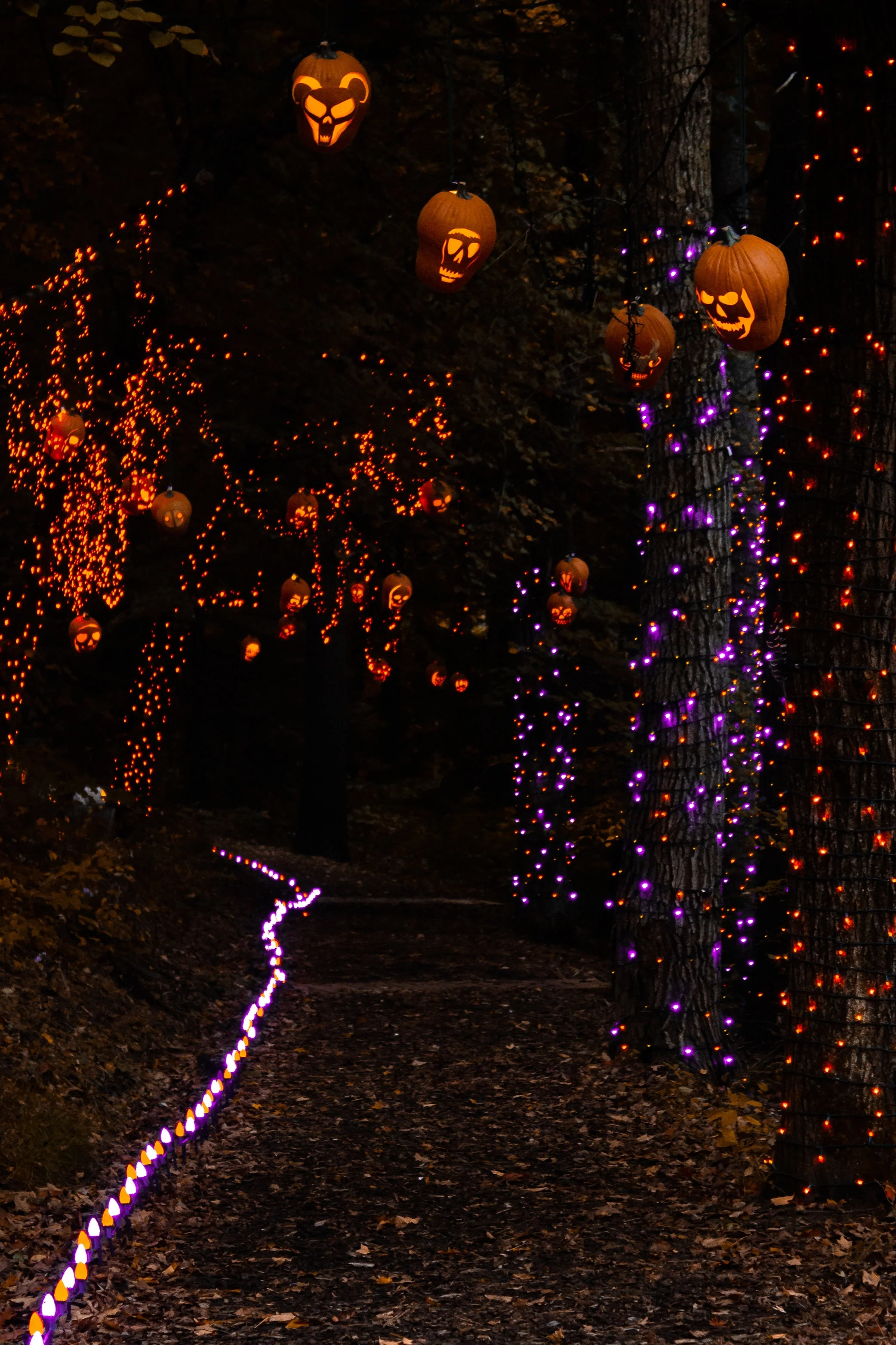 Don't Miss This: The Incredible Naumkeag Pumpkin Show