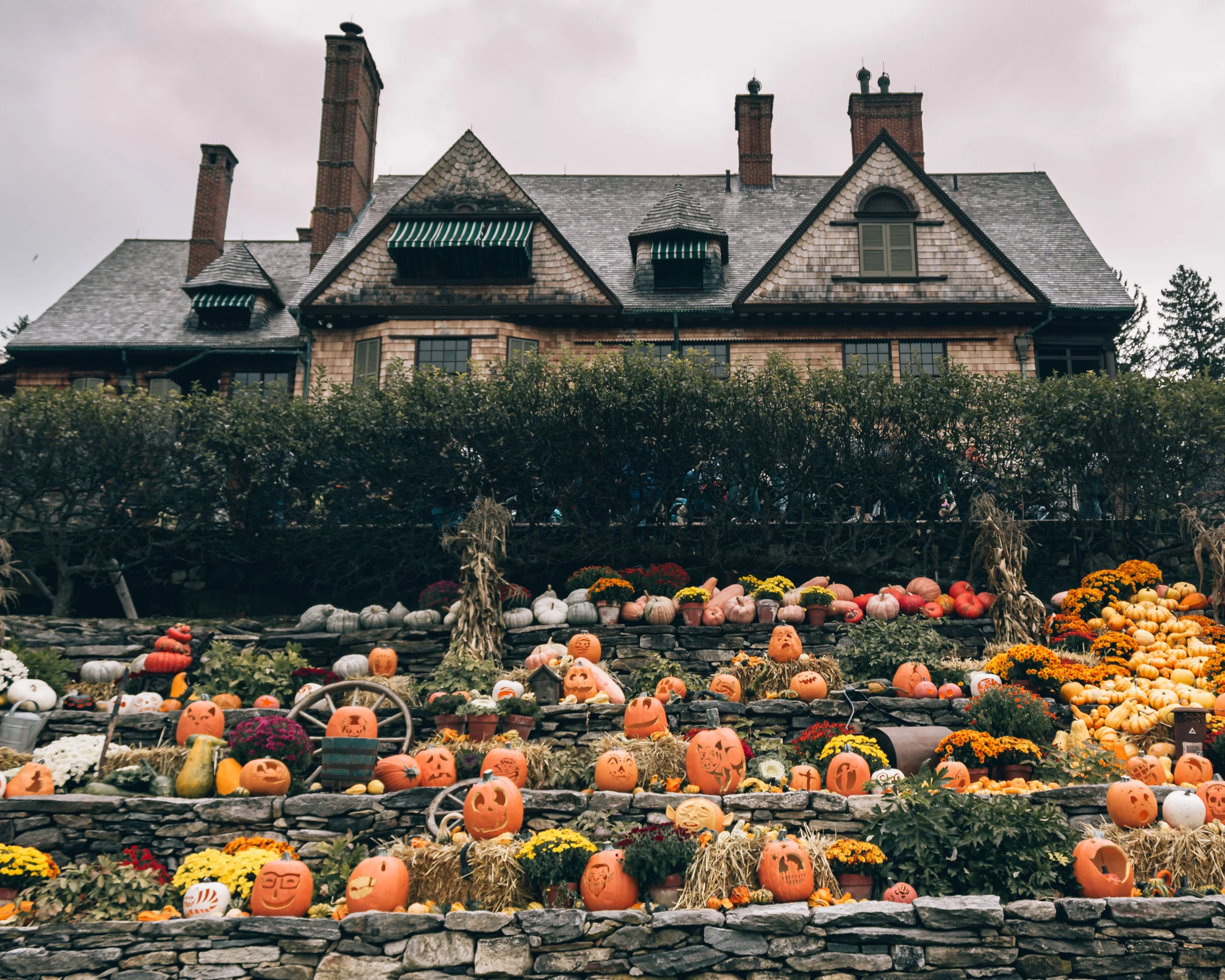 Naumkeag Back Pumpkins.jpg