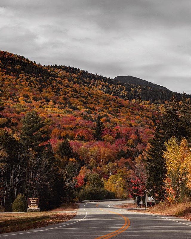 &ldquo;Beware the autumn people...For some, autumn comes early, stays late through life, where October follows September and November touches October...For these beings, fall is ever the normal season, the only weather, there is no choice beyond...Su