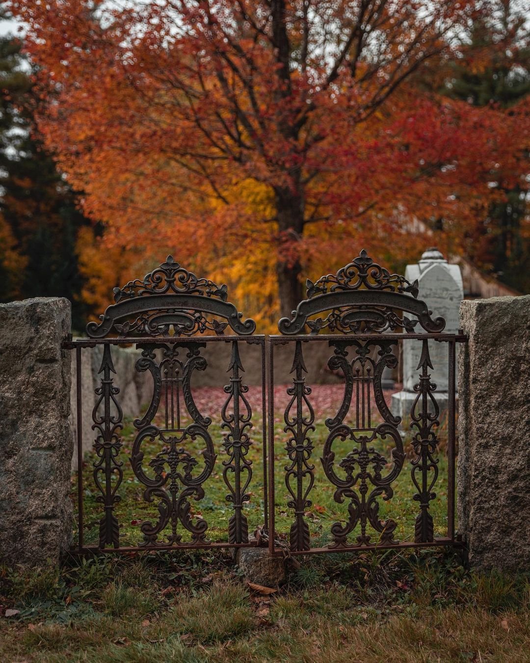 Cemetery Gates