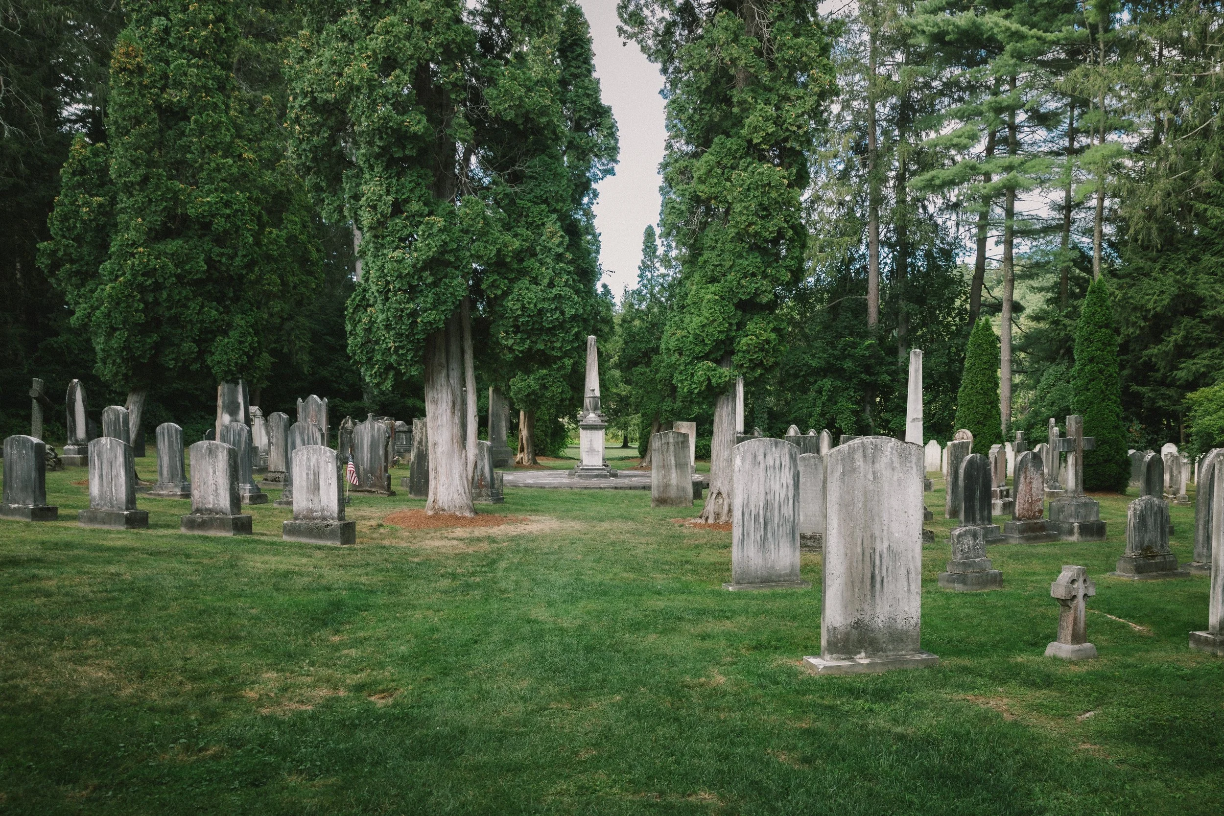 Wide view of the historic Sedgwick Pie family cemetery plot in Stockbridge, Massachusetts, showing the gravestones nestled among towering trees.