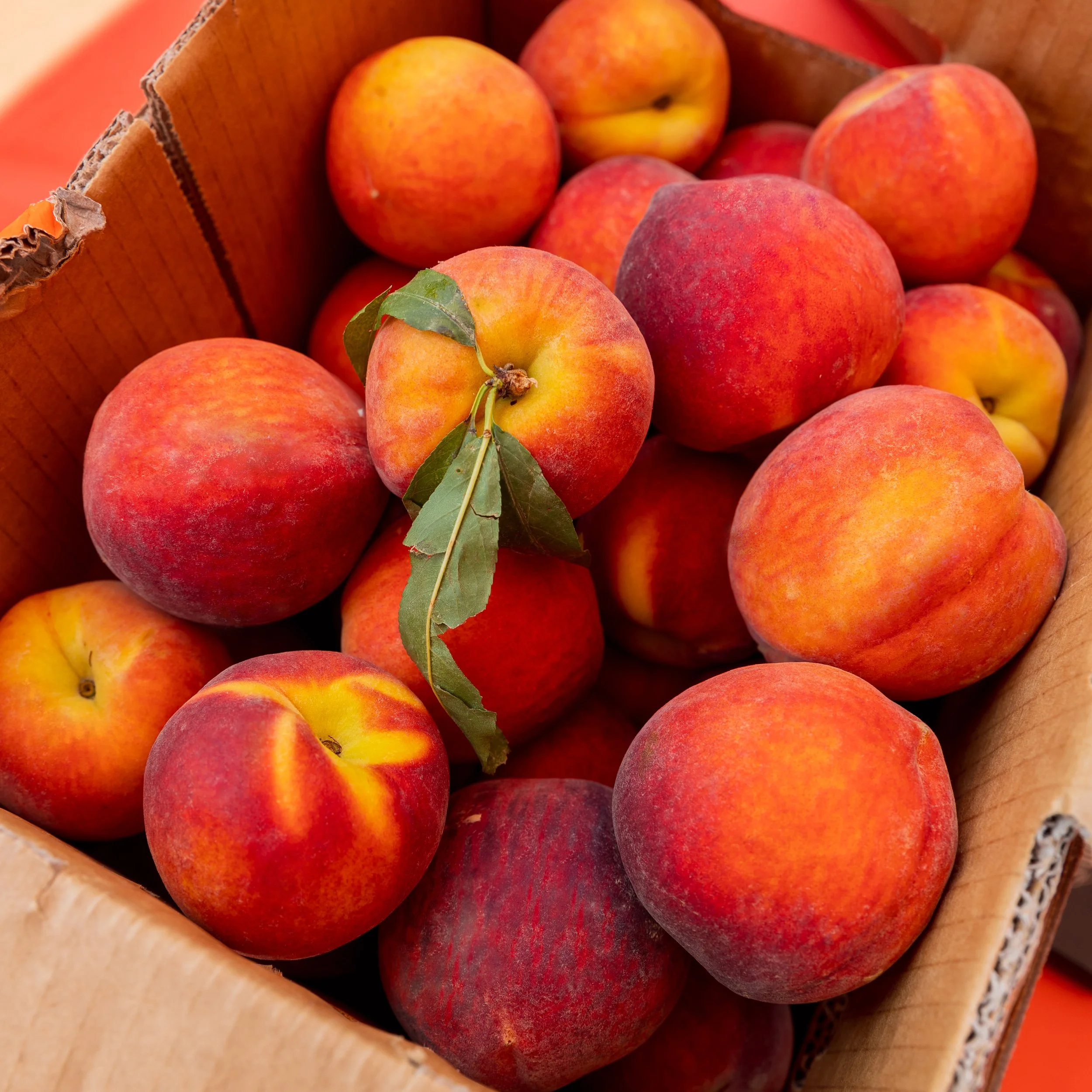 The Peach Truck Pop Up