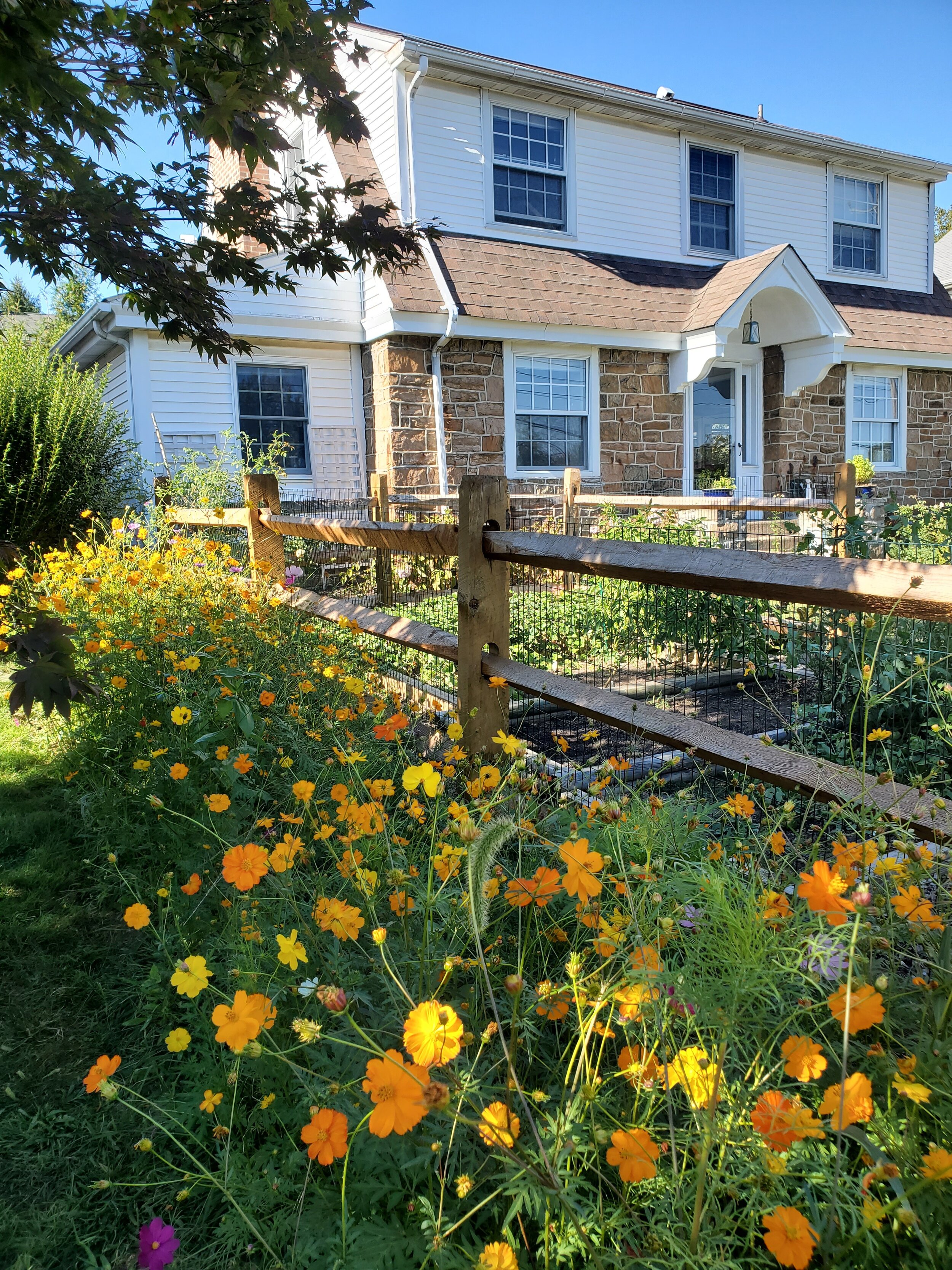 Wildflower Garden Packages