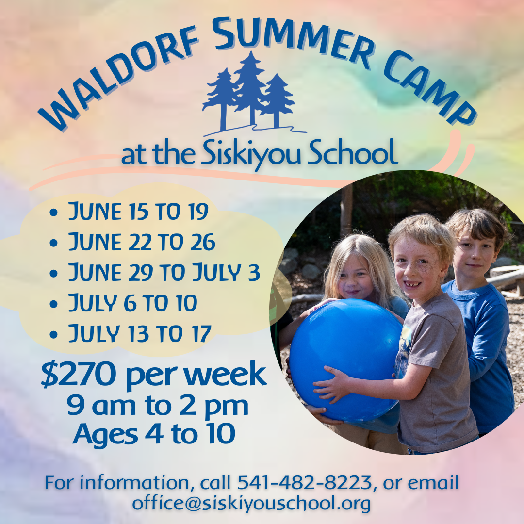 Summer Camp 26 Store.png