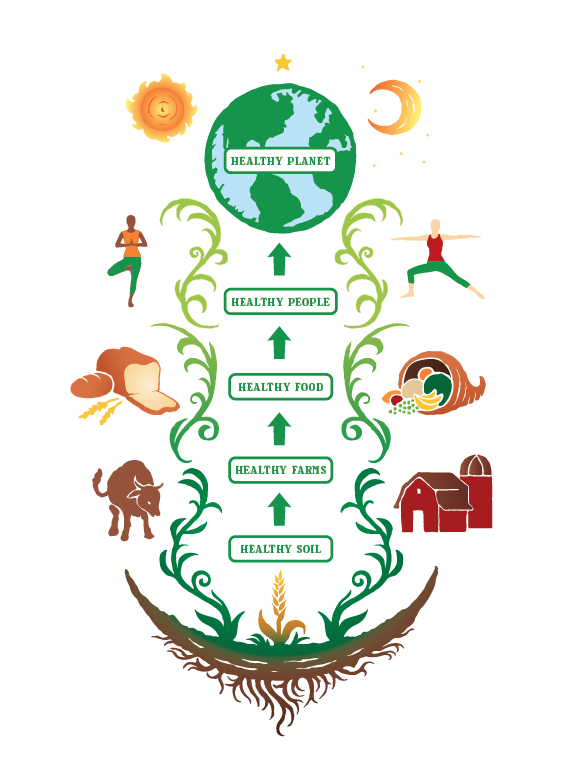 Infographic V1.png