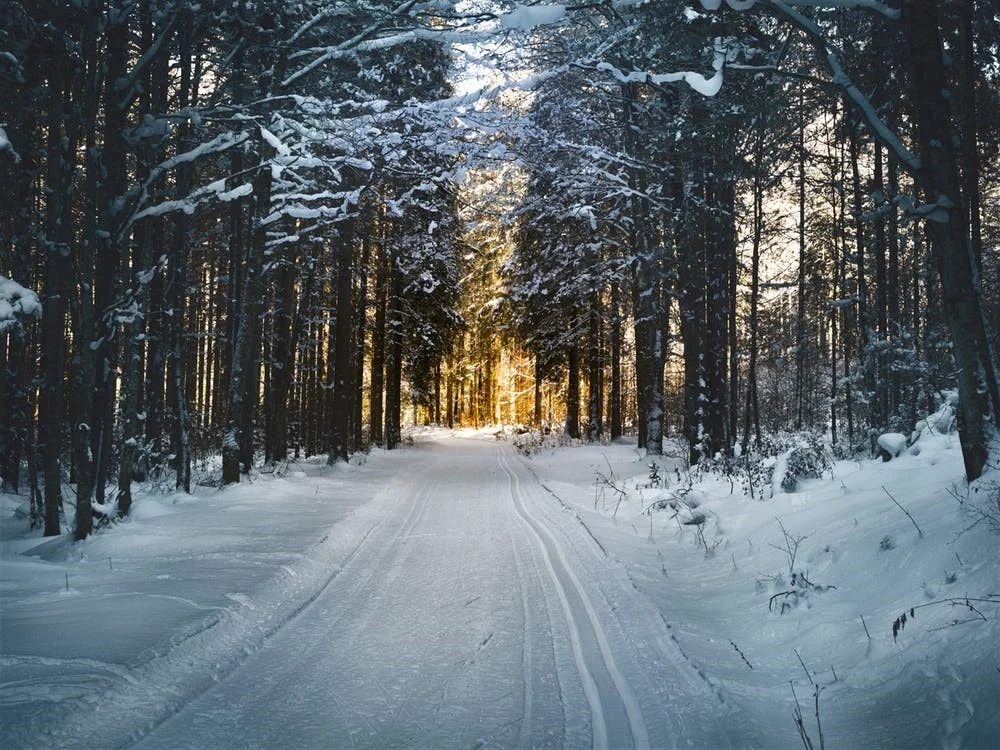 MAVERICK-Winter.jpg