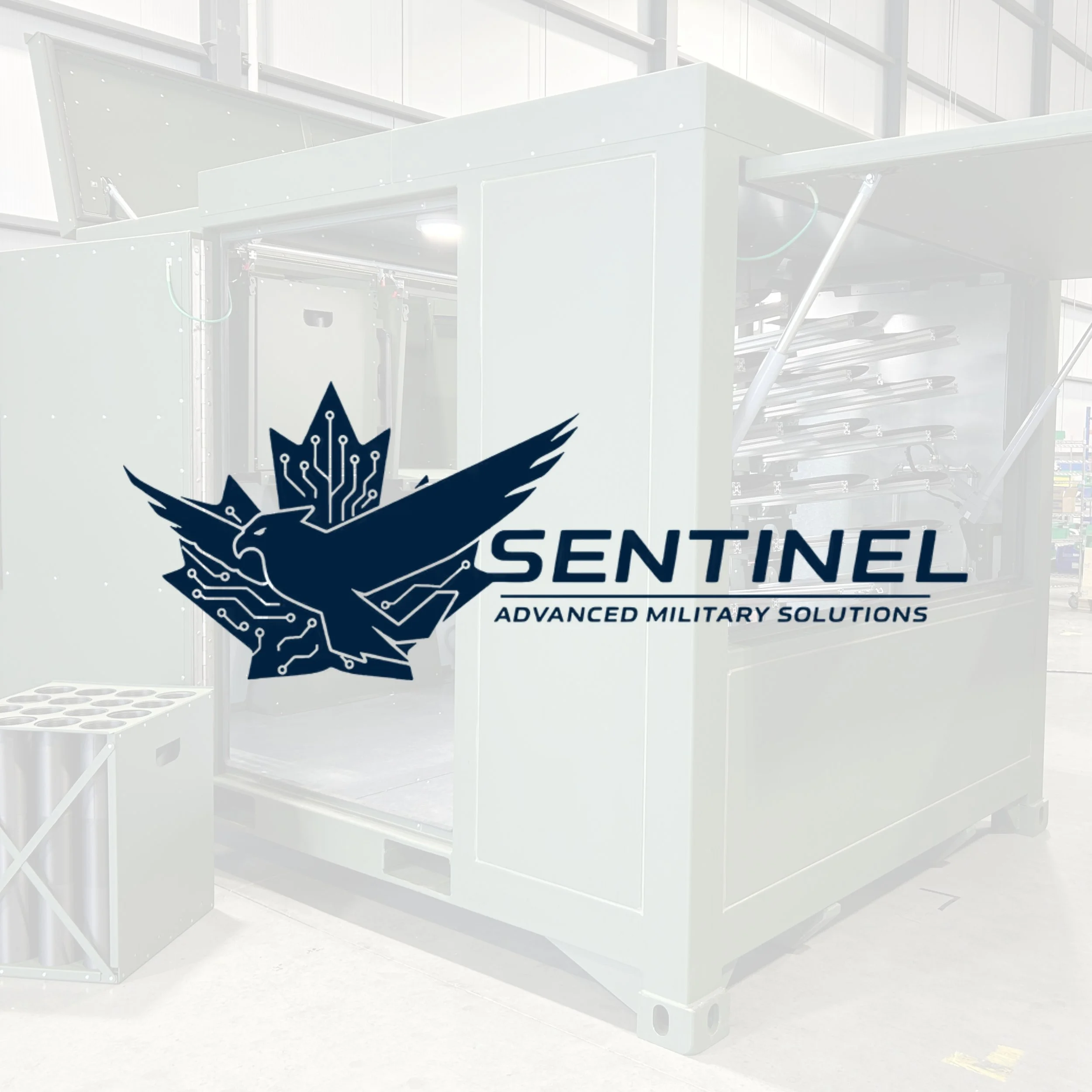 SENTINEL AMS.jpg