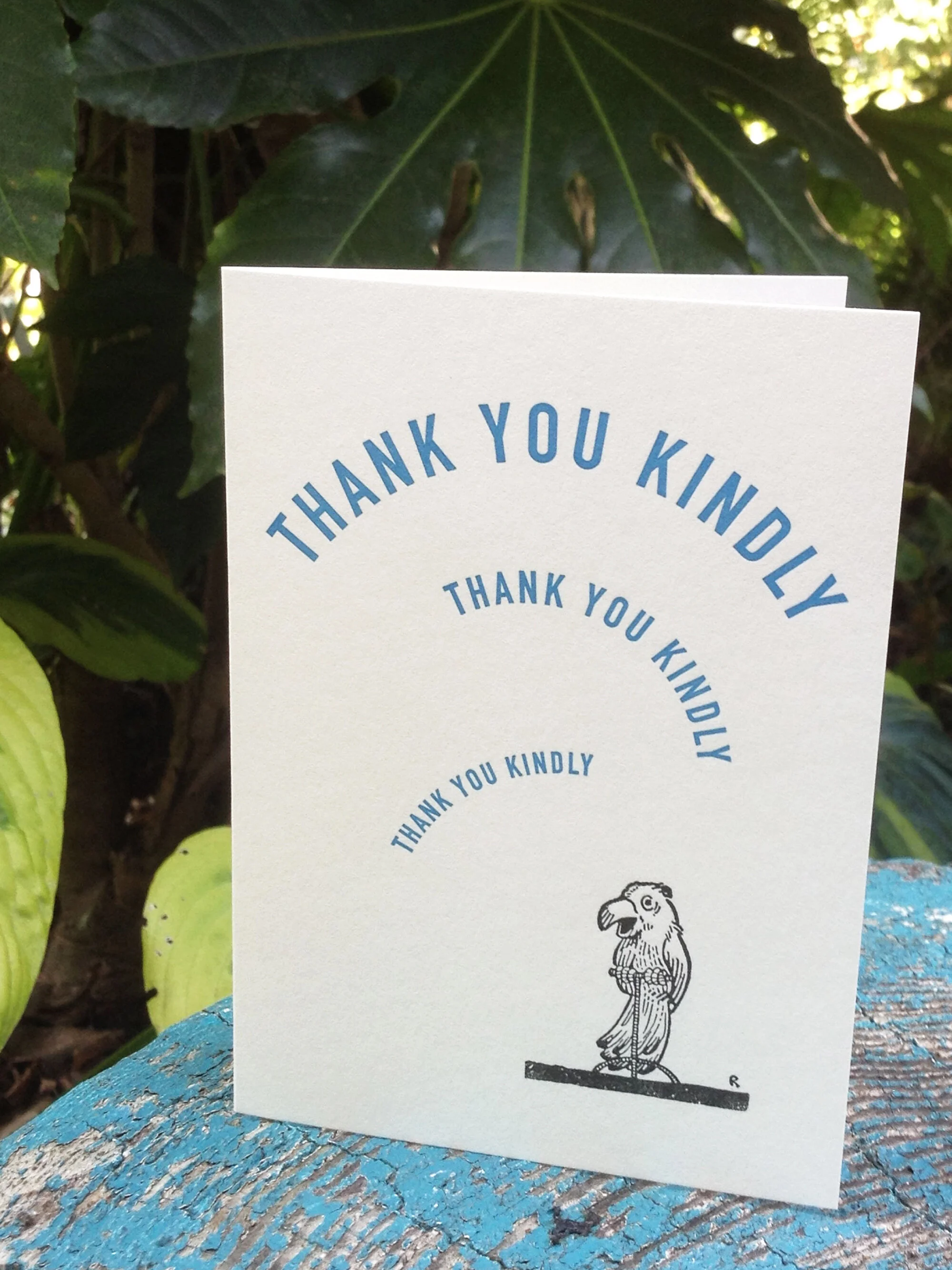 Thank you Kindly! (Parrot)