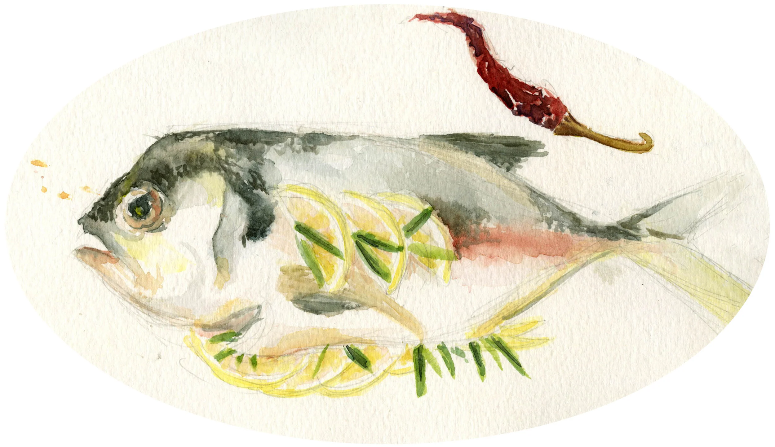 branzino_spot.jpg
