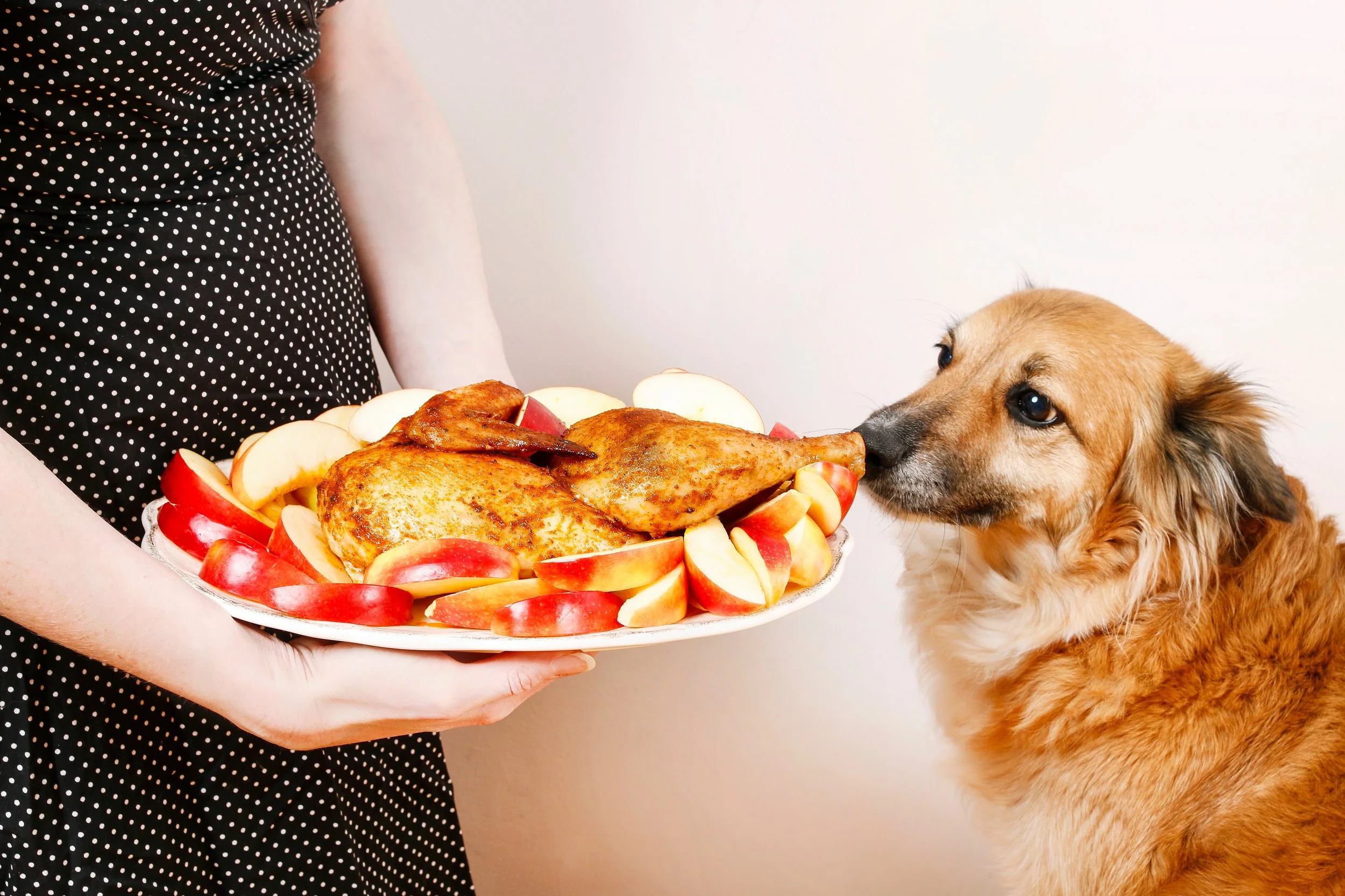 Milk, Meat, and Moral Blind Spots