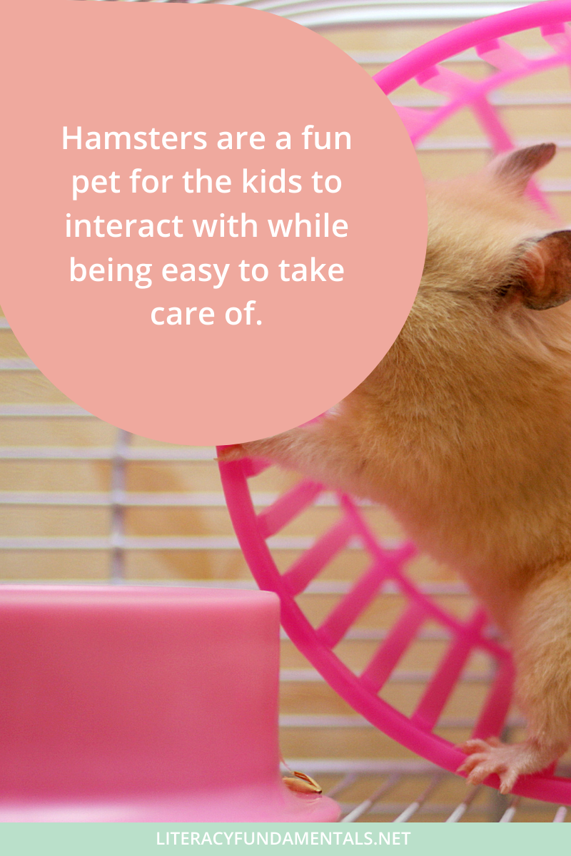 Simple Class Pet Ideas for Elementary Teachers — Literacy Fundamentals