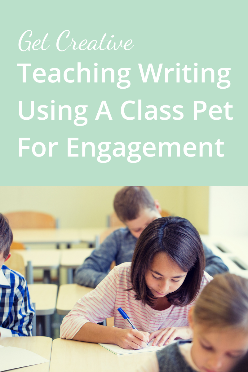 Get Creative Teaching Writing Using a Class Pet for Engagement