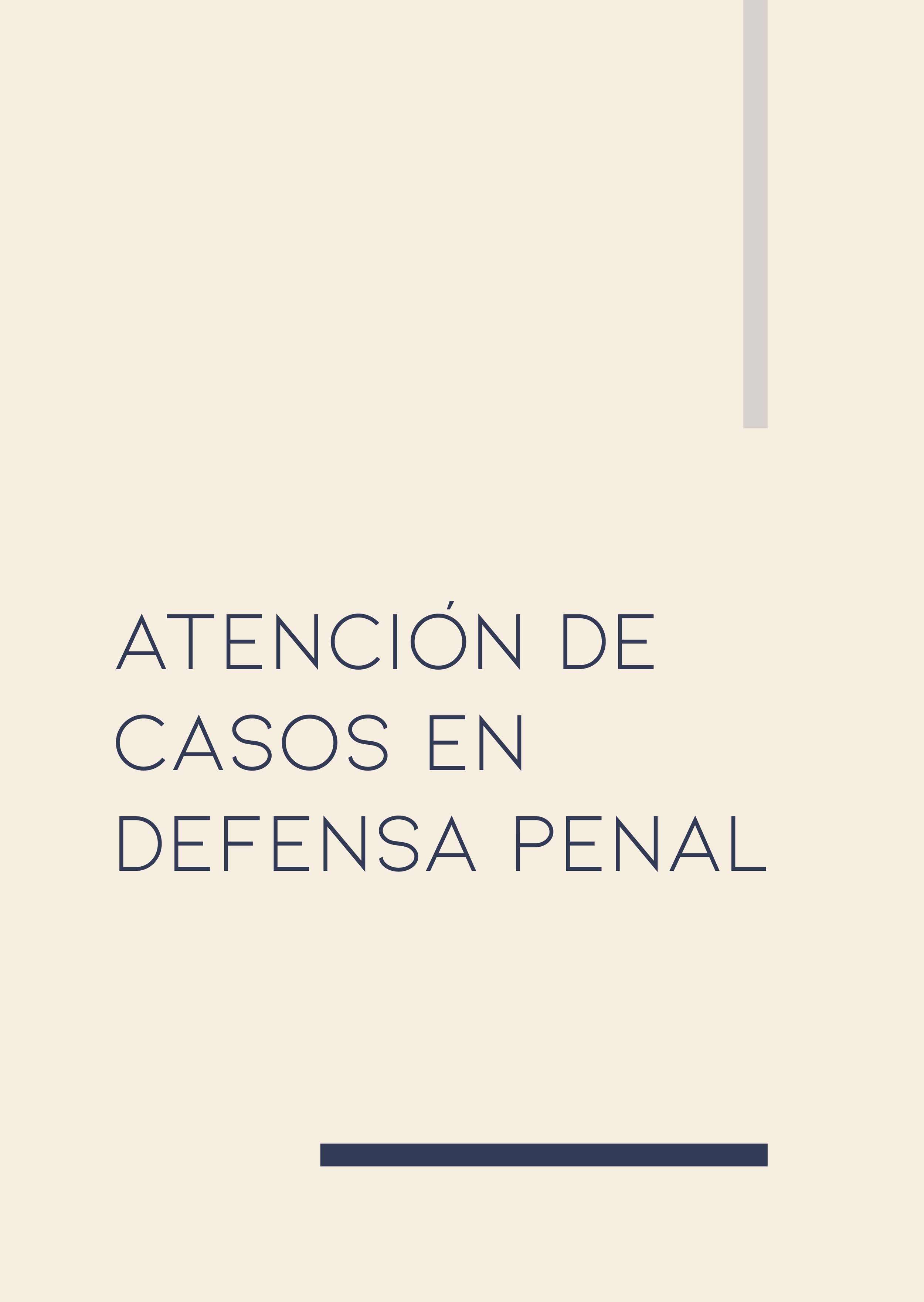 Defensa penal.png